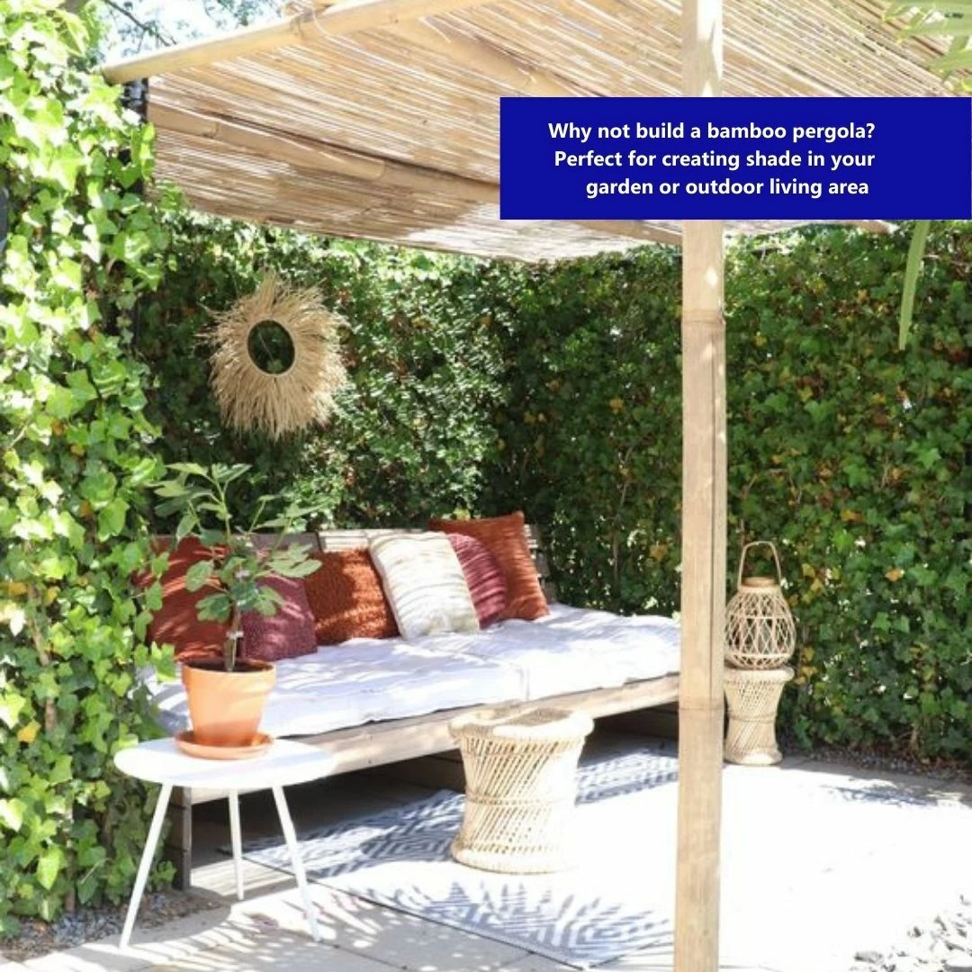 Bamboo Garden Screening 9 Bamboo Garden Screening - Image 9