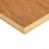 5.5mm Non Structural Premium Hardwood Core Plywood Board 1220x2440mm