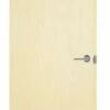 FD30 Fire Check Door Plywood 686x1981x44mm