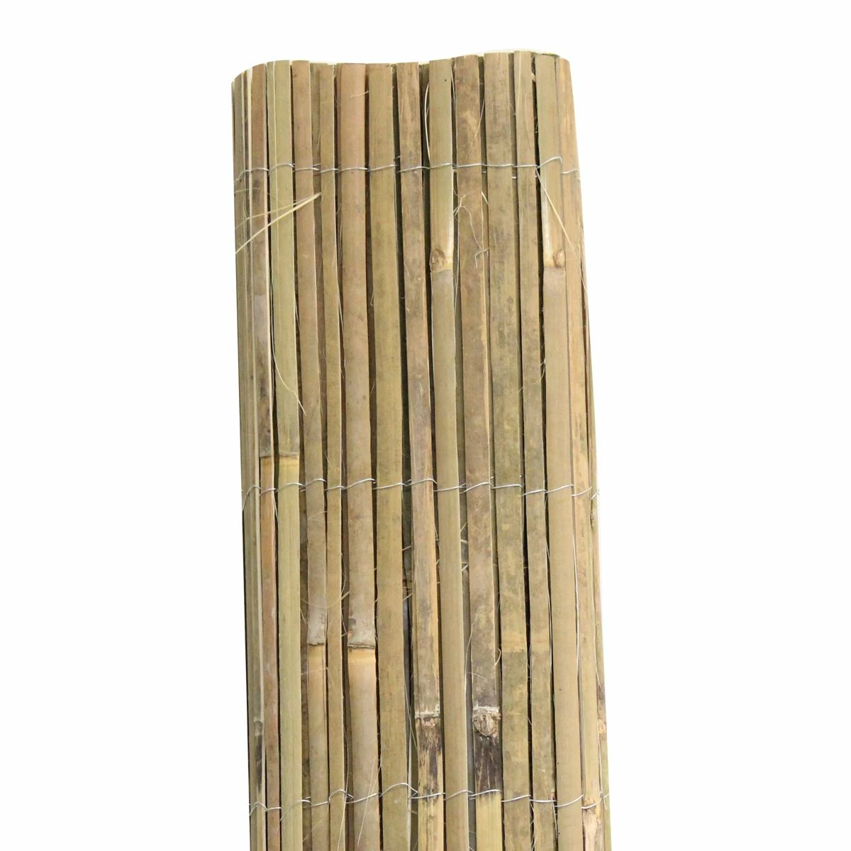 Bamboo Garden Screening 3 Bamboo Garden Screening - Image 3