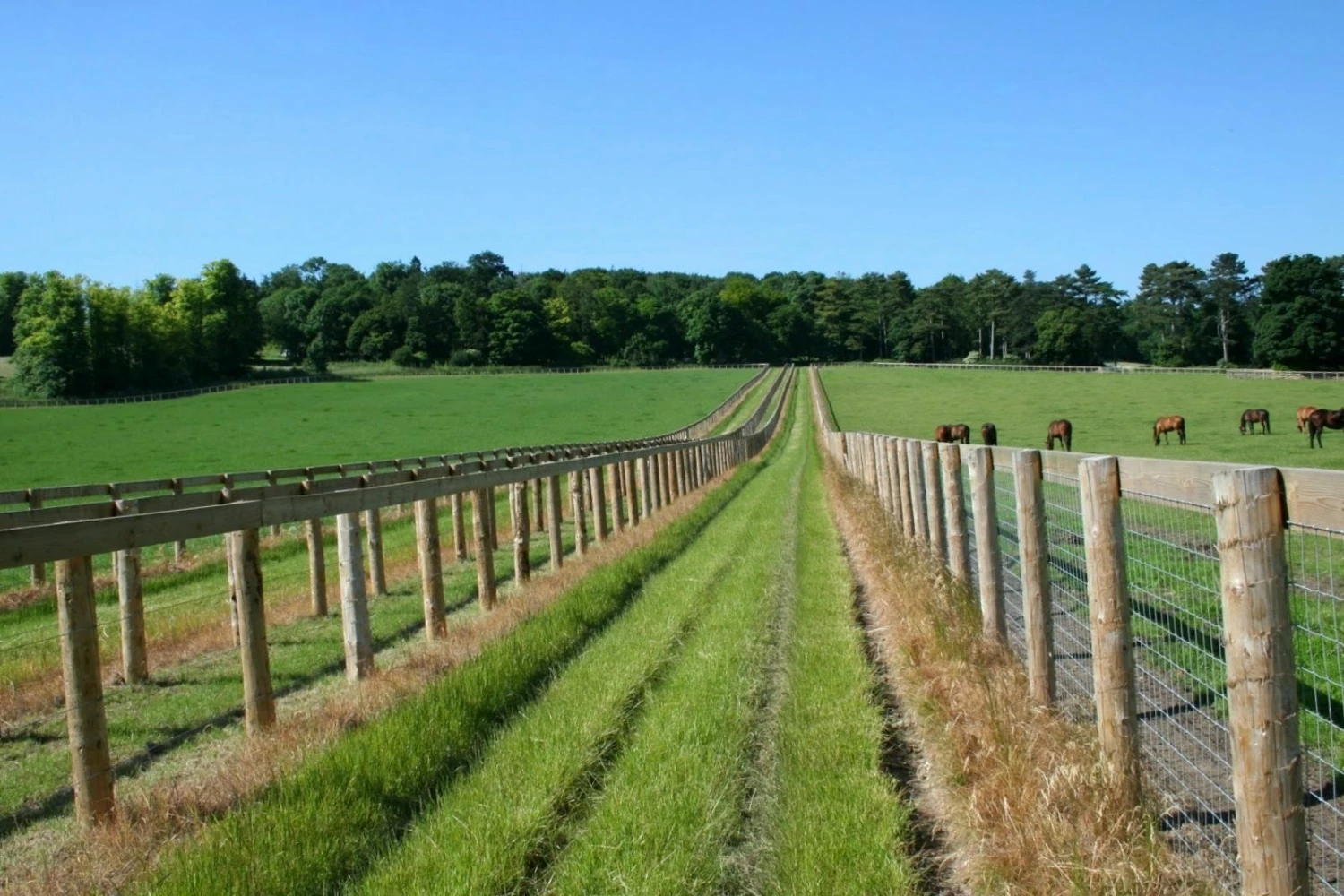 Cundy Peel Round Fence Post Strainers 4 Cundy Peel Round Fence Post Strainers - Image 4