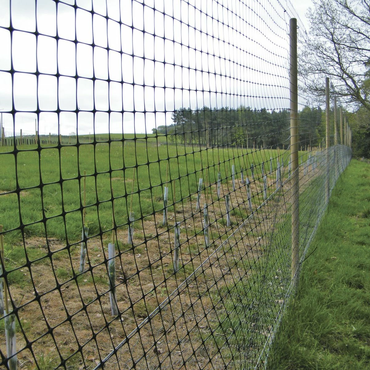 Deer Fencing | 1.8m X 100m | Heavy-Duty Roll | 80gsm 4 Deer Fencing | 1.8m X 100m | Heavy-Duty Roll | 80gsm - Image 4