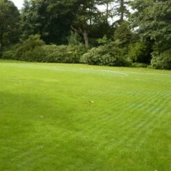 Grass Parking Mesh | GR10 | 2.5m X 5m | Ground Reinforcement | Without Pins -Osmo Sale gr14 ad7 1 1 1