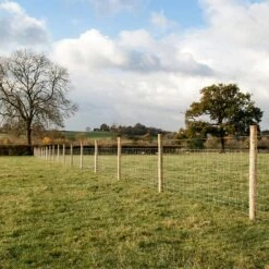 Tornado R8/80/22 Torus High Tensile Stock Fencing -Osmo Sale livestock fencing gallery 4 2