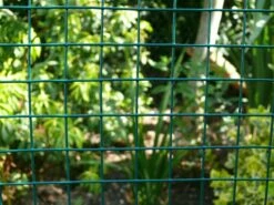 PVC-Coated Welded Wire Mesh Rolls -Osmo Sale pvc welded wire mesh fence 2