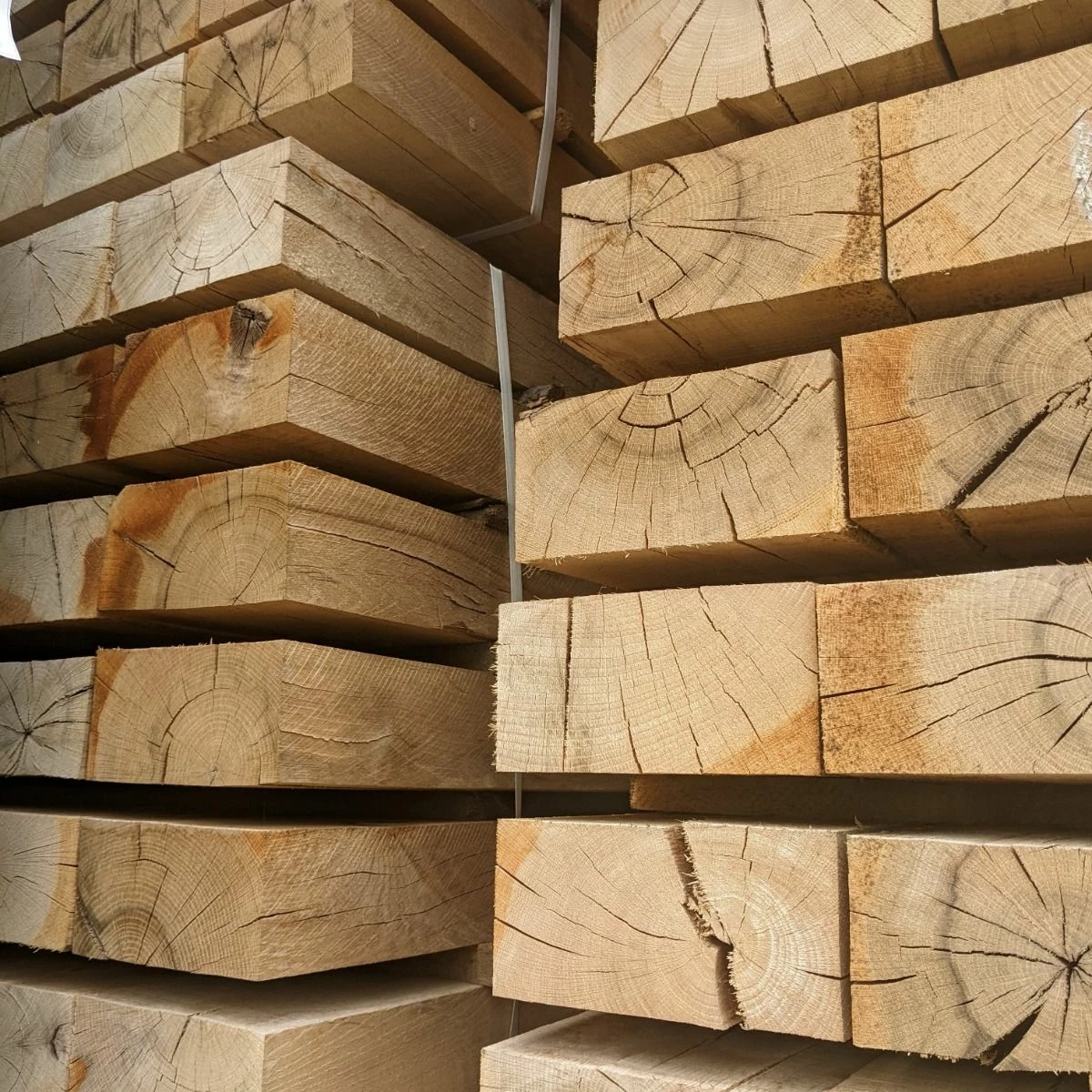 Grade B Oak Sleeper | 2.4m X 100mm X 200mm 2 Grade B Oak Sleeper | 2.4m X 100mm X 200mm - Image 2