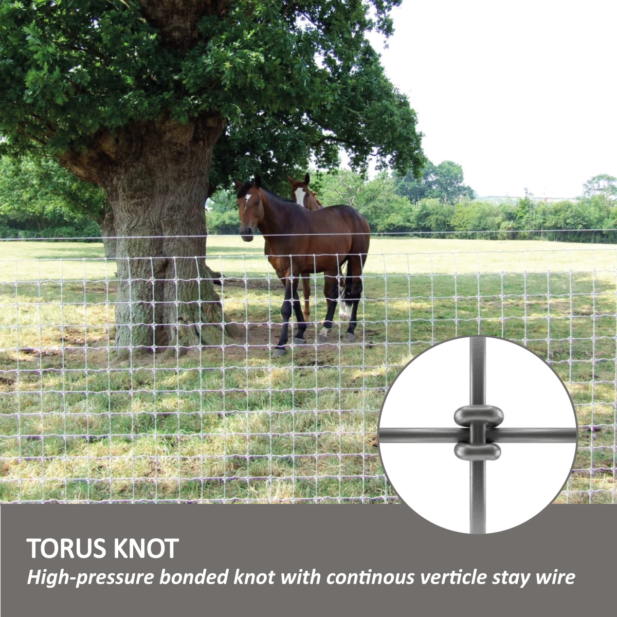 Tornado Equi Horse Torus Fence R12/110/8-100m 4 Tornado Equi Horse Torus Fence R12/110/8-100m - Image 4